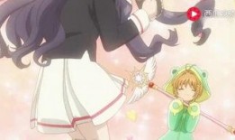 小樱爆料视频大全集,揭秘幕后真相与精彩瞬间