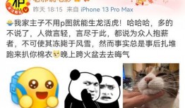 虐猫爆料贴吧最新消息,最新爆料揭示惊人内幕